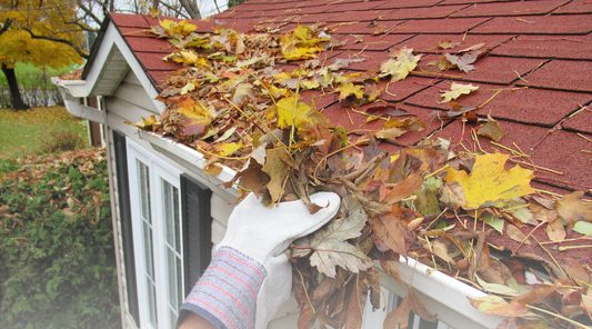 Choosing the Best Gutter Cover: A Comprehensive Guide