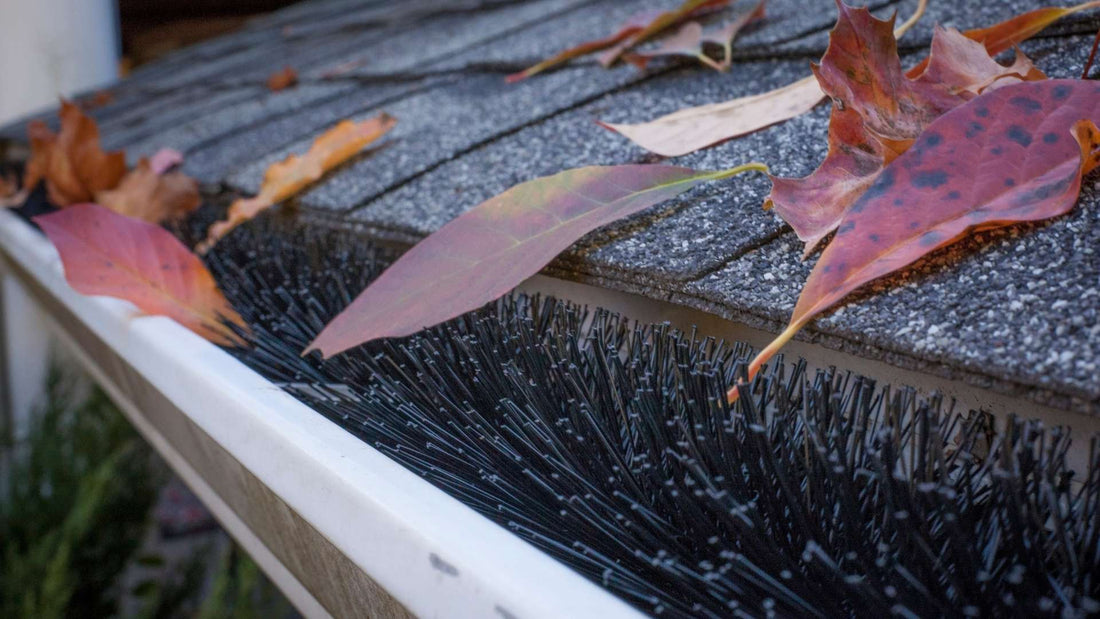 GutterBrush filling a k style gutter and keeping it from experiencing gutter clogs