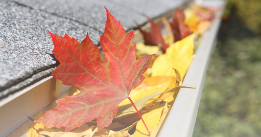 How to Keep Leaves Out of Gutters: 4 Simple Solutions for Clean Gutters