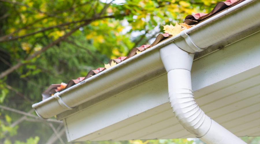 Leaf Traps for Downspouts: Keep Gutters Clear