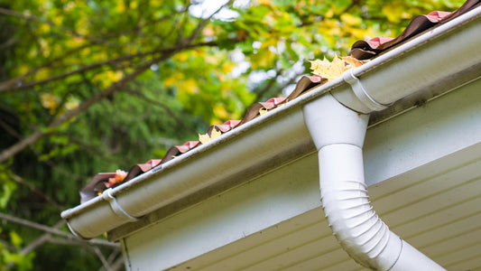 Half round rain gutter clogged with colorful leaves.