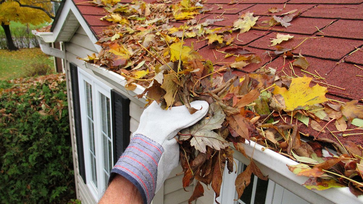 Clean Leaves Out Of Gutters