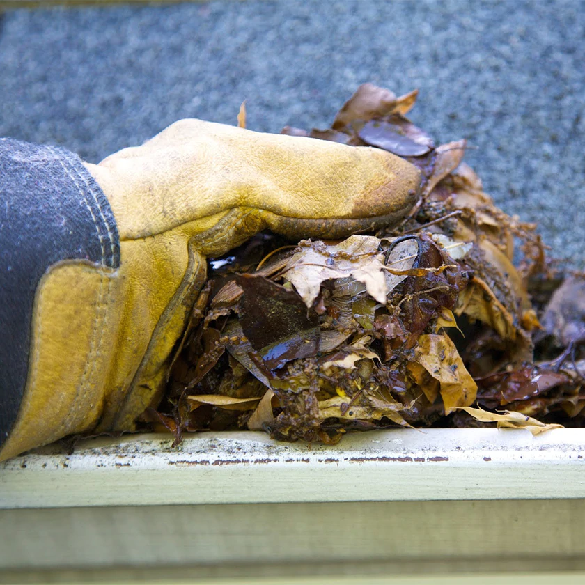 Gutter Cleaning use gloves to clear leaves